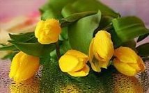 Схема вышивки «Тюльпаны»