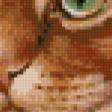 Предпросмотр схемы вышивки «за забором» (№777448)