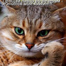 Схема вышивки «хозяин»