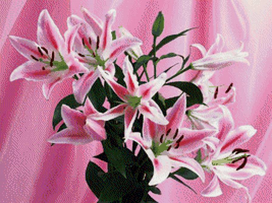 лилий - предпросмотр