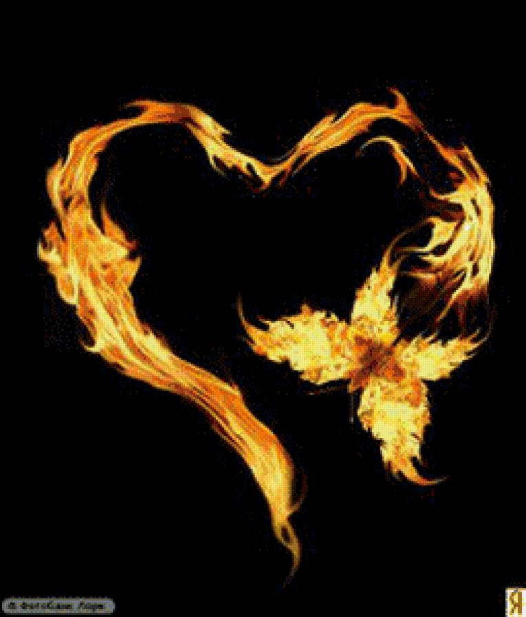 огненый бабочка - предпросмотр