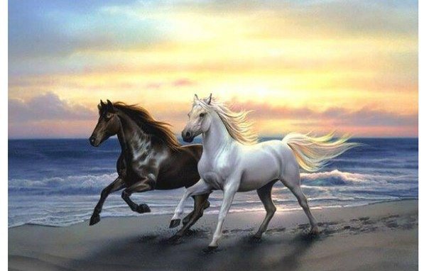 бегущие лошади - животные, лошадь, картина - оригинал