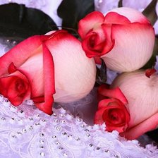 Схема вышивки «QW»