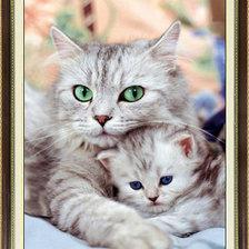 Схема вышивки «Q345Y6R»