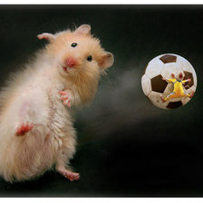 Схема вышивки «AWTRE»