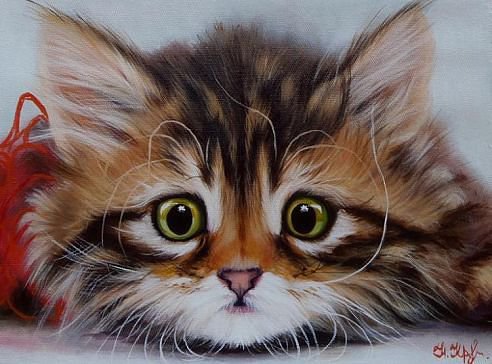 DTY - оригинал