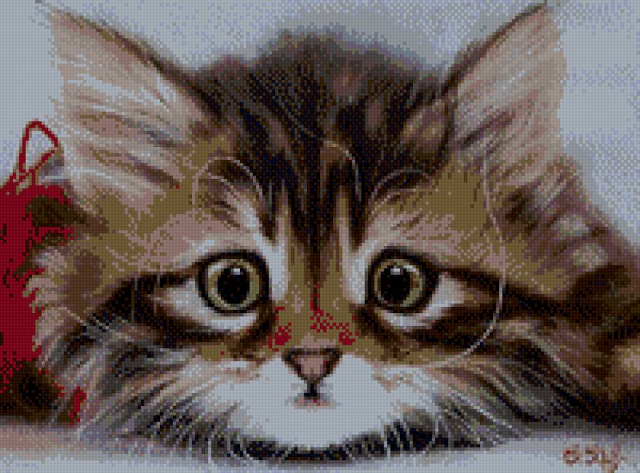 DTY - предпросмотр