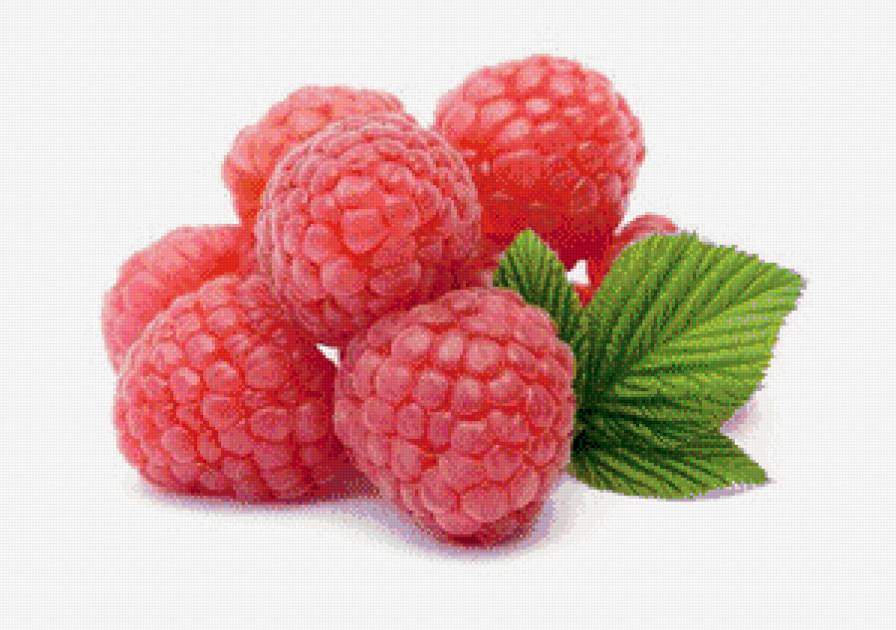 малина - малина, натюрморт - предпросмотр