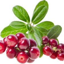 Схема вышивки «Натюрморт»