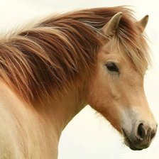 Схема вышивки «№777698»