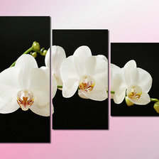 Схема вышивки «триптих»