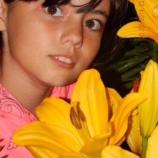 Схема вышивки «Лейсян»