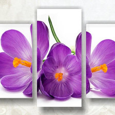 Схема вышивки «триптих»