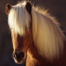 Схема вышивки «№778572»