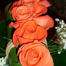 Схема вышивки «№778596»