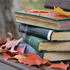 Схема вышивки «осень»