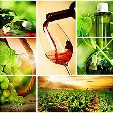 Схема вышивки «триптих»