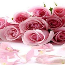 Схема вышивки «триптих»