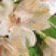 Предпросмотр схемы вышивки «натюрморт» (№778904)