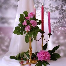 Схема вышивки «Натюрморт»