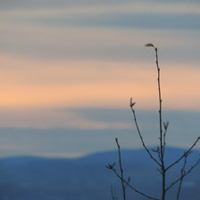 Схема вышивки «Утро Красноярска»