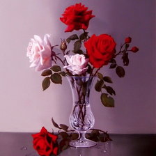 Схема вышивки «серия "розы"»