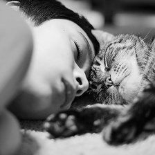 Схема вышивки «Сладкий сон (монохром)»