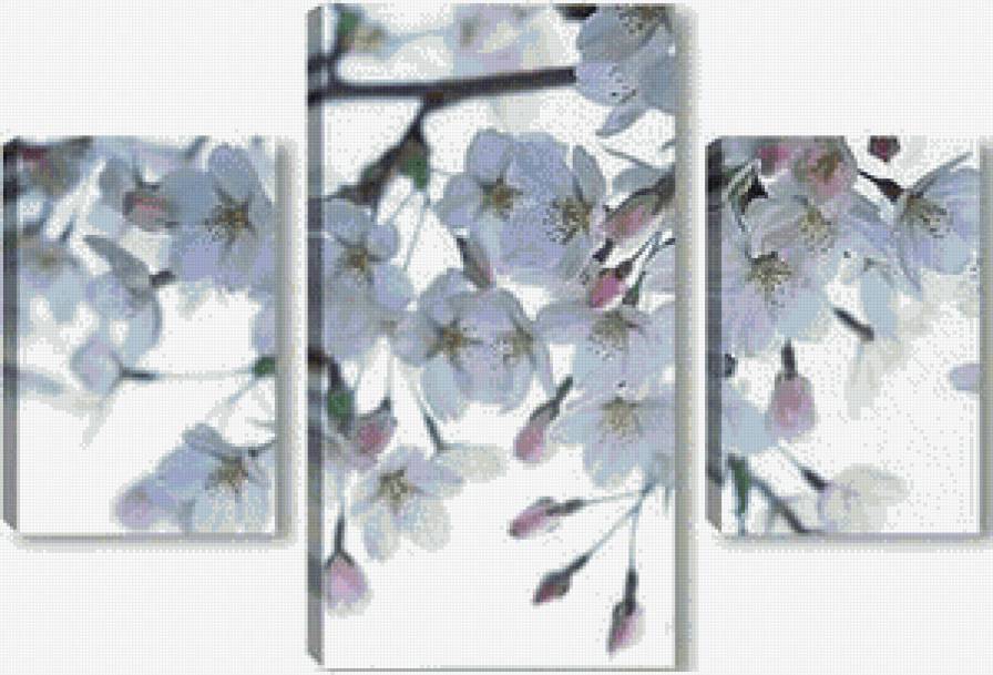 Яблоневый цвет - цветы - предпросмотр