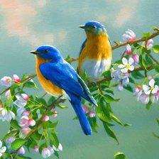 Схема вышивки «№779118»