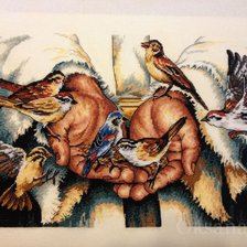 Схема вышивки «птицы»