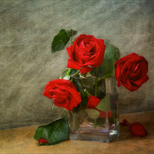 натюрморт с розами