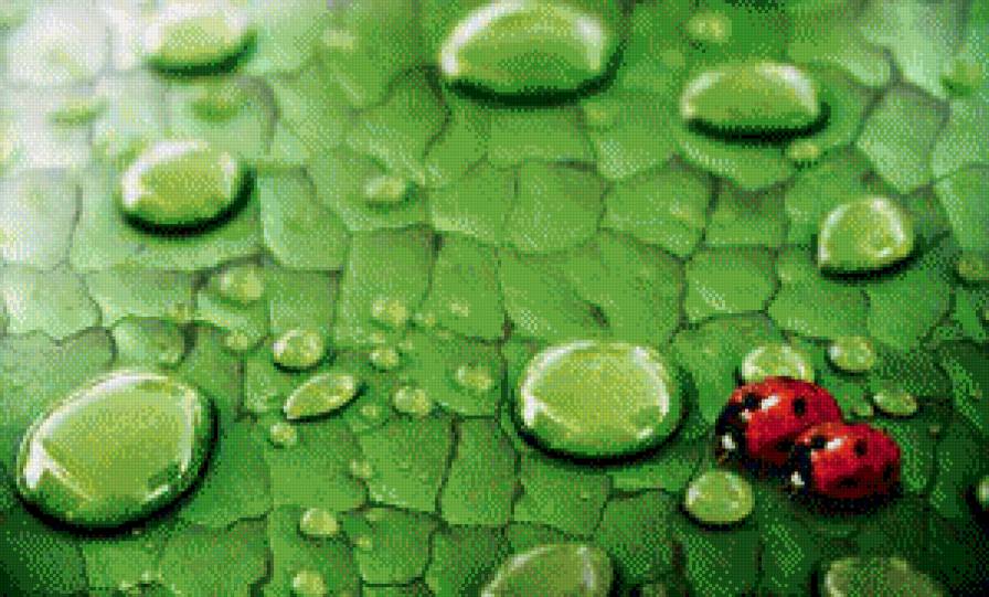 капля - предпросмотр