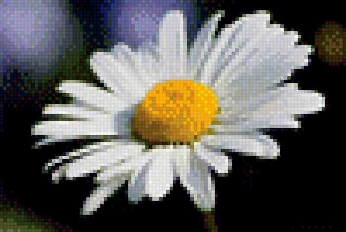 Ромашка - предпросмотр