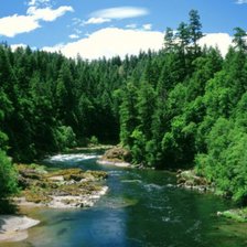 Схема вышивки «Хвойный лес»