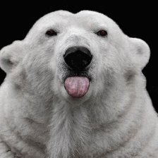 Схема вышивки «Эйнштейн»