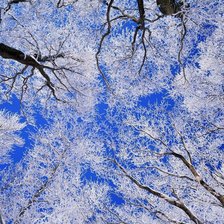 Схема вышивки «3»