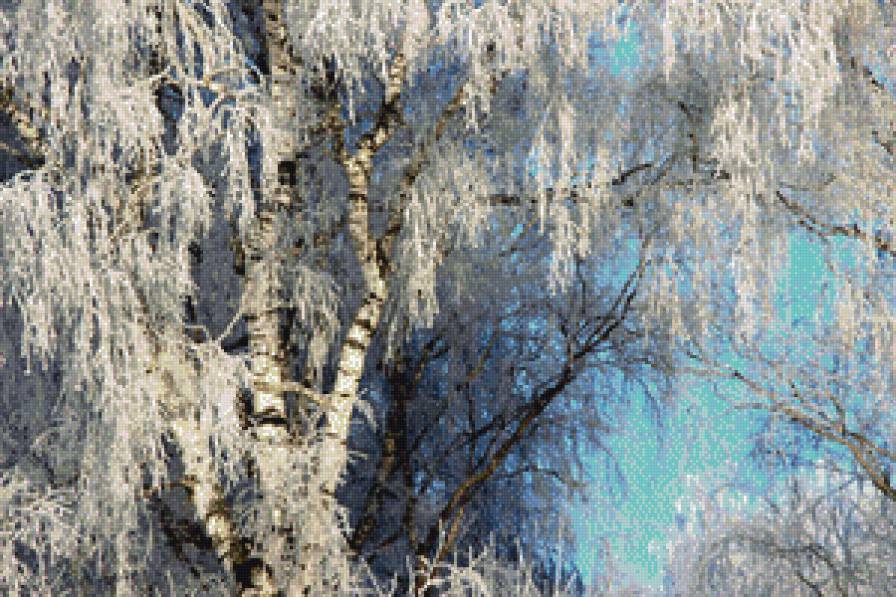 белая берёза под моим окном. - природа - предпросмотр