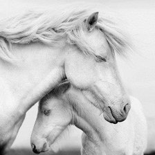 Схема вышивки «№780353»