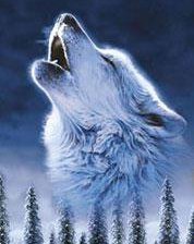 Схема вышивки «волчья песня»