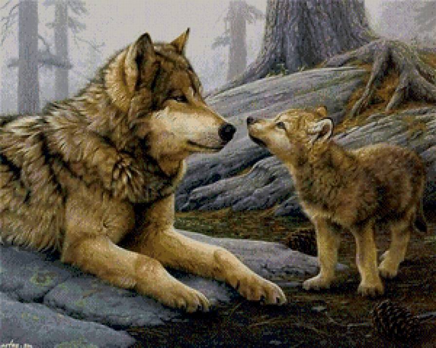 Под охраной - волки, лес, природа, животные - предпросмотр