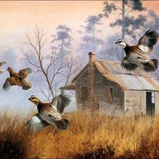 Схема вышивки «№780479»