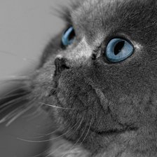 Схема вышивки «Британец»