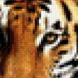 Предпросмотр схемы вышивки «Тигр2» (№780594)