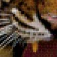 Предпросмотр схемы вышивки «тигр3» (№780617)