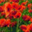 Предпросмотр схемы вышивки «макове поле» (№780733)