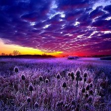 Схема вышивки «красиво»