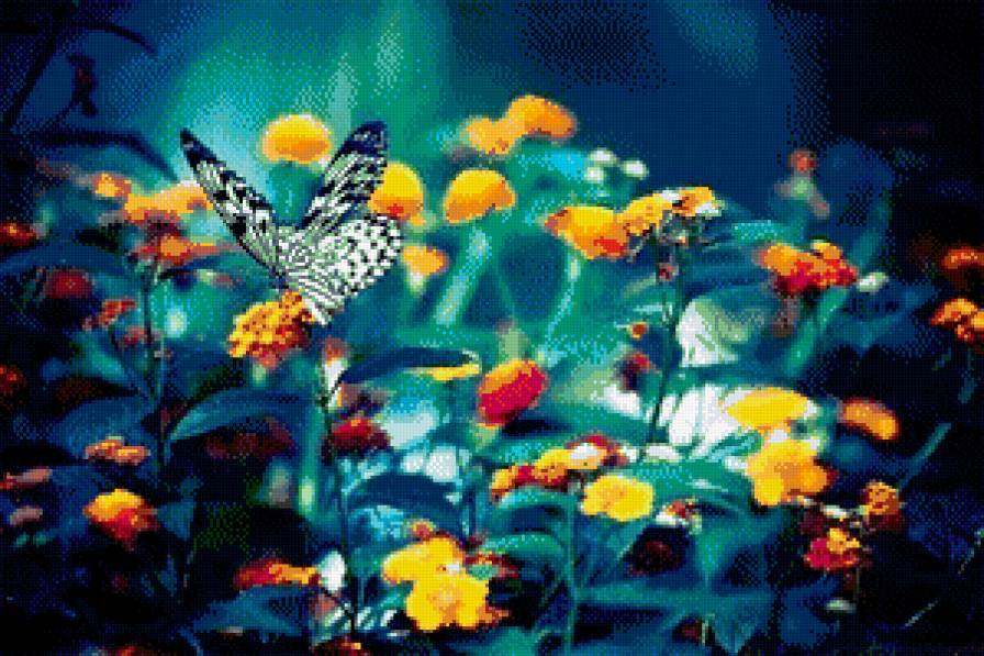 бабочка - предпросмотр