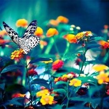 Схема вышивки «бабочка»