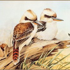 Схема вышивки «№780986»