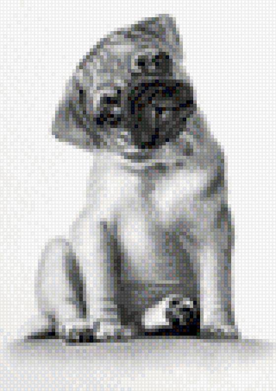 мопсик - предпросмотр